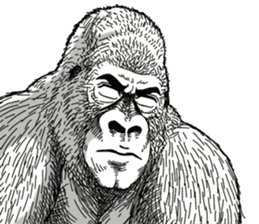 Gorilla gorilla gorilla 0 sticker #11728589