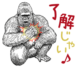 Gorilla gorilla gorilla 0 sticker #11728594