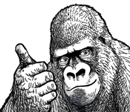 Gorilla gorilla gorilla 0 sticker #11728595