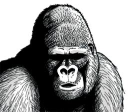 Gorilla gorilla gorilla 0 sticker #11728597