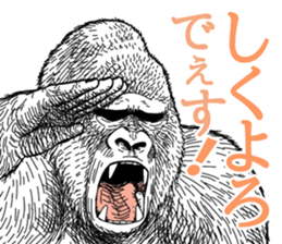Gorilla gorilla gorilla 0 sticker #11728598