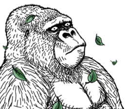 Gorilla gorilla gorilla 0 sticker #11728601