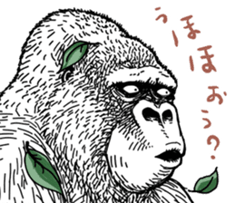 Gorilla gorilla gorilla 0 sticker #11728602