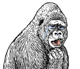 Gorilla gorilla gorilla 0 sticker #11728604