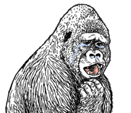 Gorilla gorilla gorilla 0 sticker #11728604