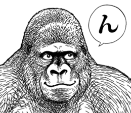 Gorilla gorilla gorilla 0 sticker #11728609