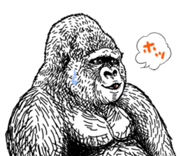 Gorilla gorilla gorilla 0 sticker #11728616