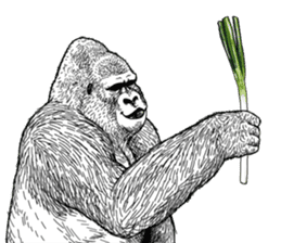 Gorilla gorilla gorilla 0 sticker #11728622