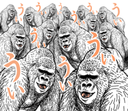Gorilla gorilla gorilla 0 sticker #11728623