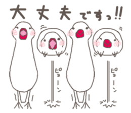 White Java sparrow (Not Kansai dialect) sticker #11730169