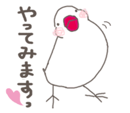 White Java sparrow (Not Kansai dialect) sticker #11730171