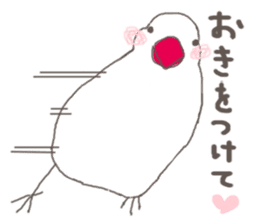 White Java sparrow (Not Kansai dialect) sticker #11730175