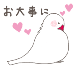 White Java sparrow (Not Kansai dialect) sticker #11730177