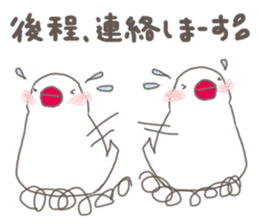 White Java sparrow (Not Kansai dialect) sticker #11730183