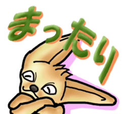 Shy Mr. Fennec sticker #11730469