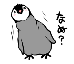 Penguin!!!2 sticker #11732148