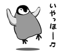 Penguin!!!2 sticker #11732167