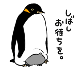 Penguin!!!2 sticker #11732176