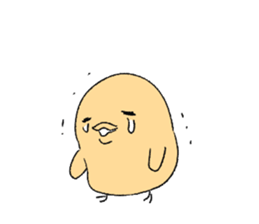 hey chicks sticker #11732573