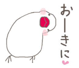 White Java sparrow (Kansai dialect)3 sticker #11735314