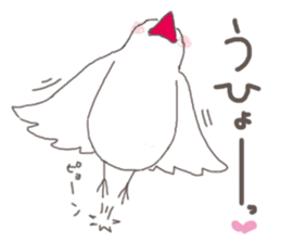 White Java sparrow (Kansai dialect)3 sticker #11735320