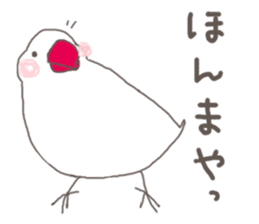 White Java sparrow (Kansai dialect)3 sticker #11735326
