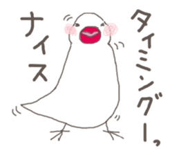 White Java sparrow (Kansai dialect)3 sticker #11735327
