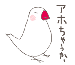White Java sparrow (Kansai dialect)3 sticker #11735329