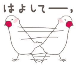 White Java sparrow (Kansai dialect)3 sticker #11735336