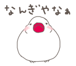 White Java sparrow (Kansai dialect)3 sticker #11735340