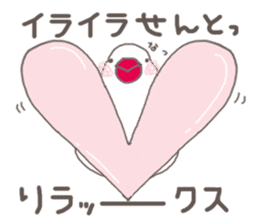 White Java sparrow (Kansai dialect)3 sticker #11735349