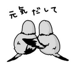 pigeon sticker2 sticker #11735837