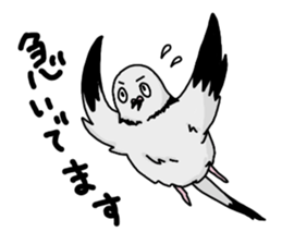 pigeon sticker2 sticker #11735838