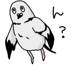 pigeon sticker2 sticker #11735839