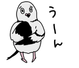 pigeon sticker2 sticker #11735840