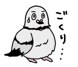 pigeon sticker2 sticker #11735841