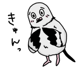 pigeon sticker2 sticker #11735843