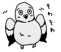 pigeon sticker2 sticker #11735844