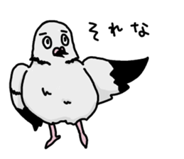 pigeon sticker2 sticker #11735845