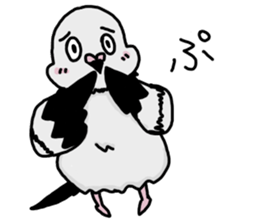pigeon sticker2 sticker #11735847
