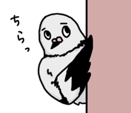 pigeon sticker2 sticker #11735848