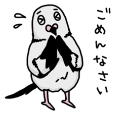 pigeon sticker2 sticker #11735850