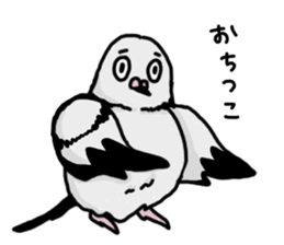 pigeon sticker2 sticker #11735851