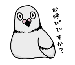 pigeon sticker2 sticker #11735852