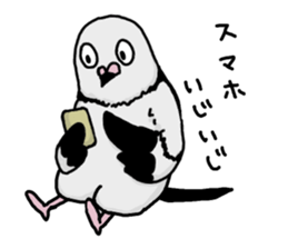 pigeon sticker2 sticker #11735855