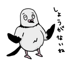 pigeon sticker2 sticker #11735858
