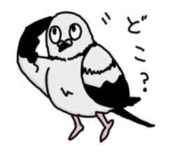 pigeon sticker2 sticker #11735860