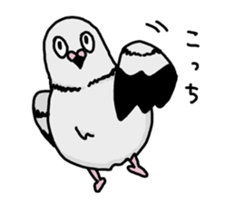 pigeon sticker2 sticker #11735861