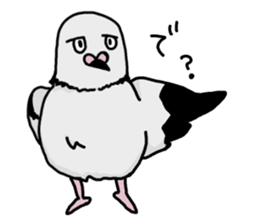 pigeon sticker2 sticker #11735862