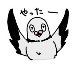 pigeon sticker2 sticker #11735863